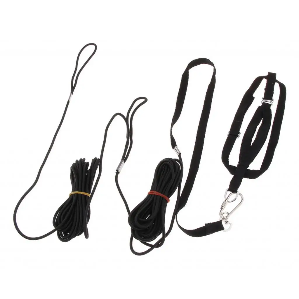 Adjustable Bird Harness 8 Meters For Parrot Budgerigar Macaws Finches Lovebird