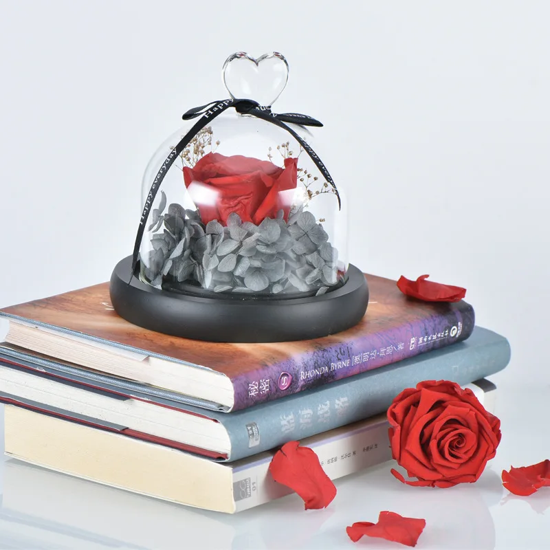 

Creative Presents Eternal Exclusive Rose In Glass Dome The Beauty And Beast Rose Romantic Valentine'S Day Gifts Birth