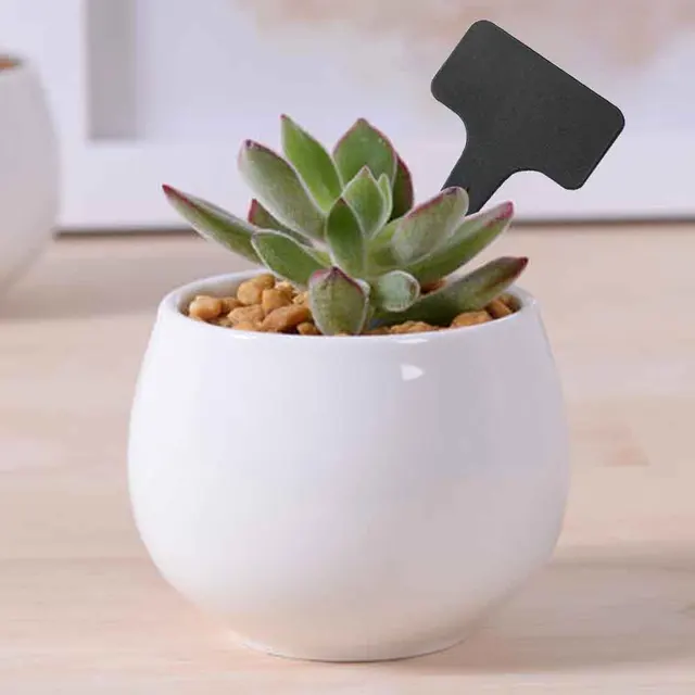 100Db Kerti Markerek Beszúrás T Típusú Tájüzem Címkék Pp Műanyag Kopás Ellenálló Uv -Ellenes Fekete Üres Plakk Zöldségcímkék - Image 6