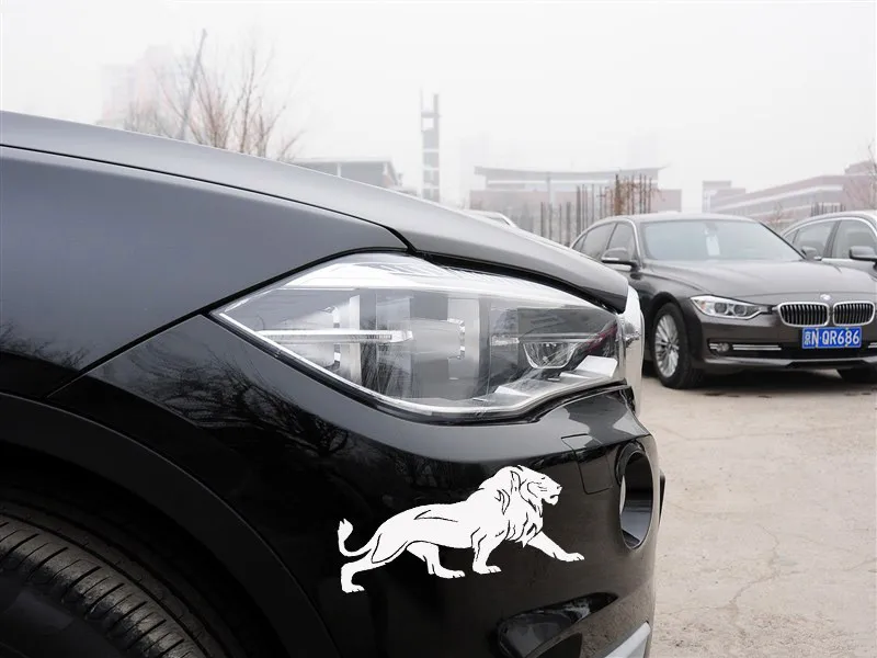 Поперечная граница для экспорта Светоотражающая Автомобильная наклейка Лев бампер наклейка s Боковая дверь наклейка s Лев бампер наклейка s