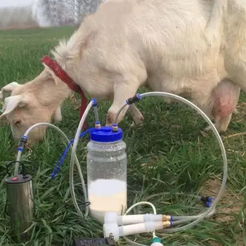 

Electric Breast Pump Sheep Use Milk Sheep Small Milking Machine 2L Configuration Household Adjustable Suction Milk For Farmer