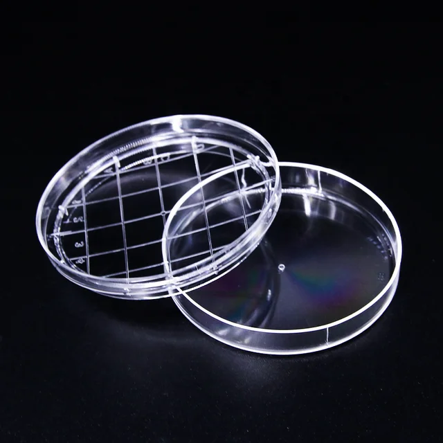 10pcs 65mm Clear Petri Dishes With Grid Of Laboratory Supplies - Petri Dish  - AliExpress