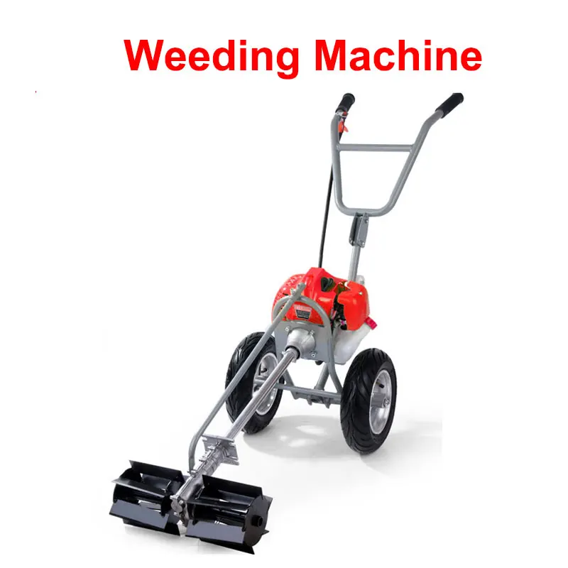 This is an example description for this item.