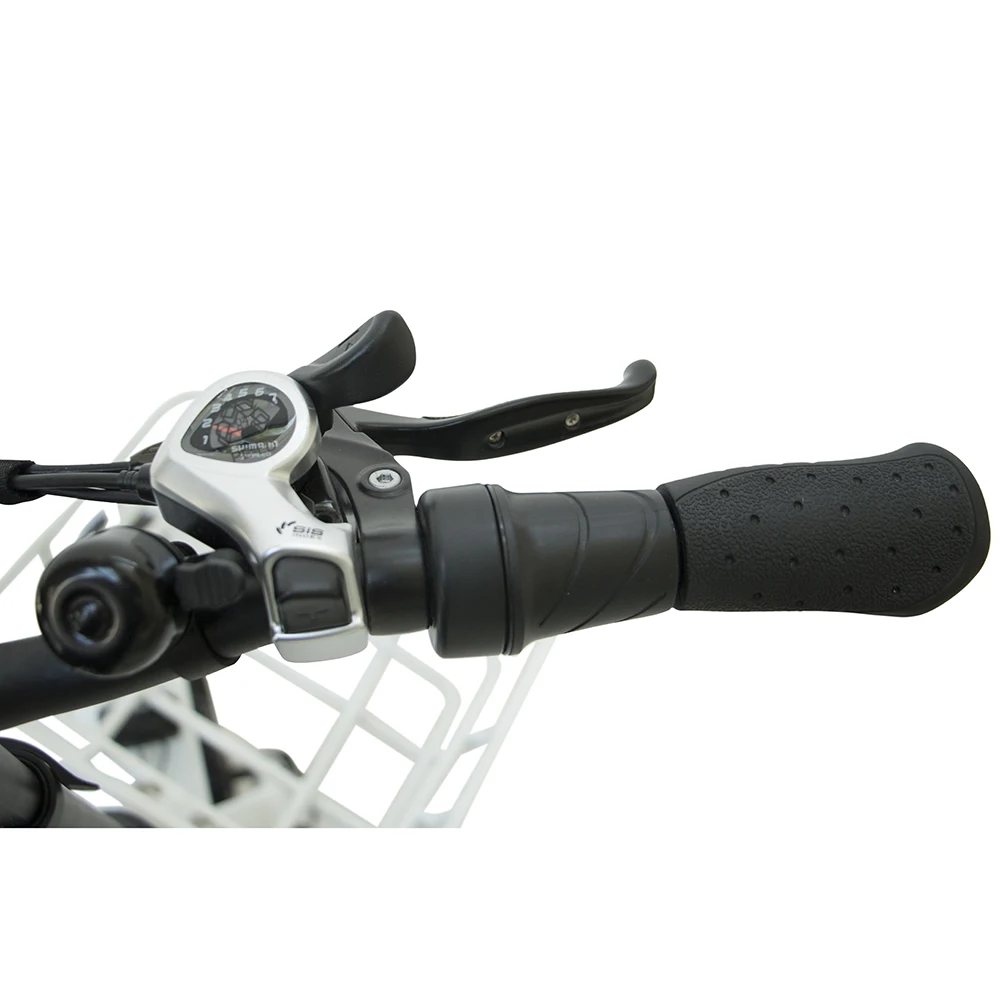 BTN electric trike dropshipping  (8)