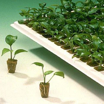 

Mini Compress Base Practical Rockwool Cubes Multifunction Media Blocks Garden Hydroponic Grow Soilless Cultivation ds99