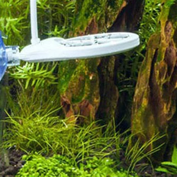 

Aquarium Algae Remover Accessories Suppression Cleaning Tool Aquarium Accessories