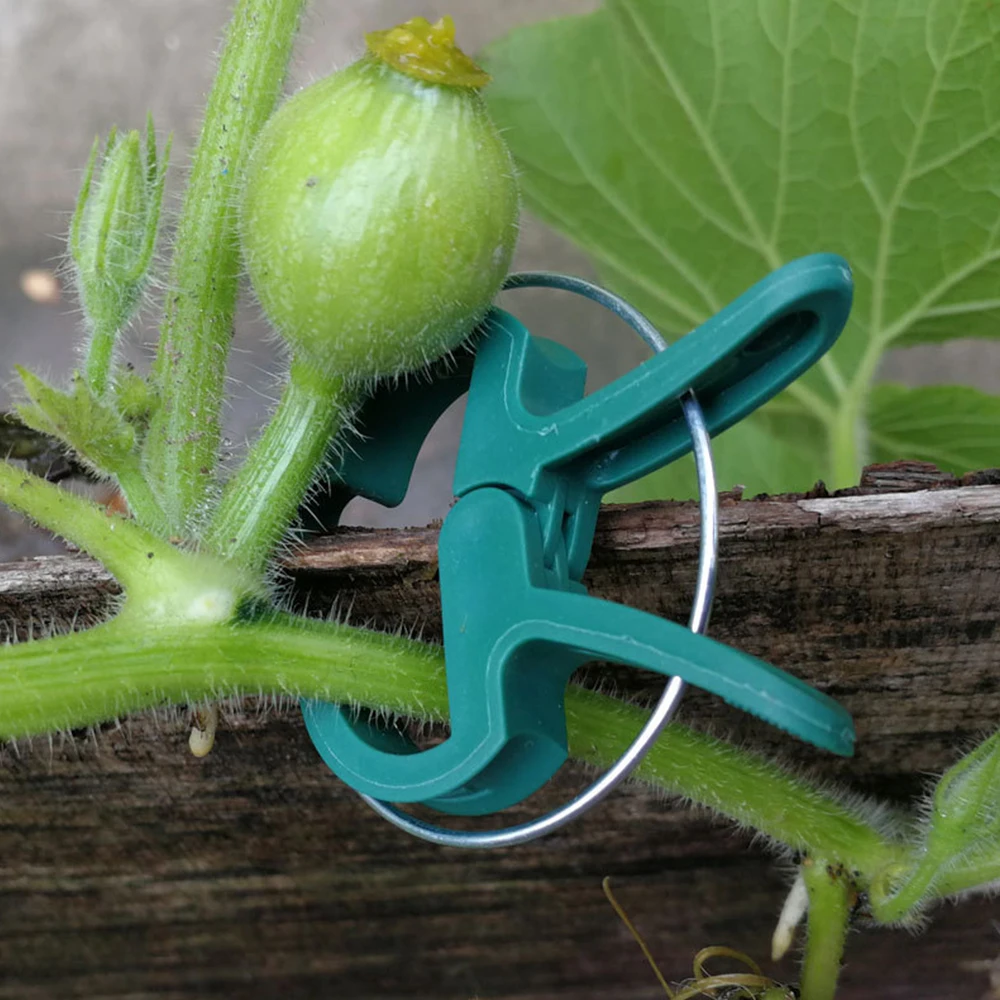 30/50/100pcs Reusable Plant Clips 4.5*3cm/6x4.5cm Plant Stems Stalks Vines Climb Fixed Clamp for Gardening Seedling Bracket Tool