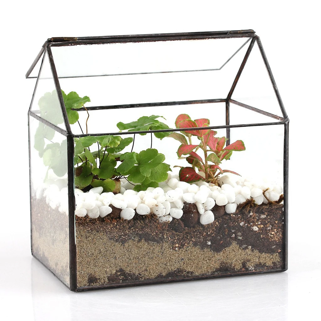 House Shape Clear Glass Geometric Terrarium Box Tabletop Succulent Plant Planter Fern Moss