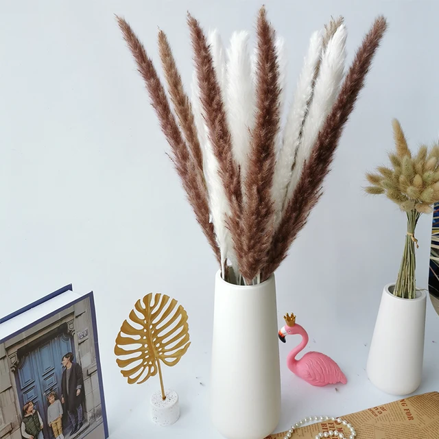 30pcs Small Pampas Grass Bulrush Natural Dried Phragmites Christmas Home Decor Diy Dried Real Flowers Bouquet Flower Arrangement Mix B