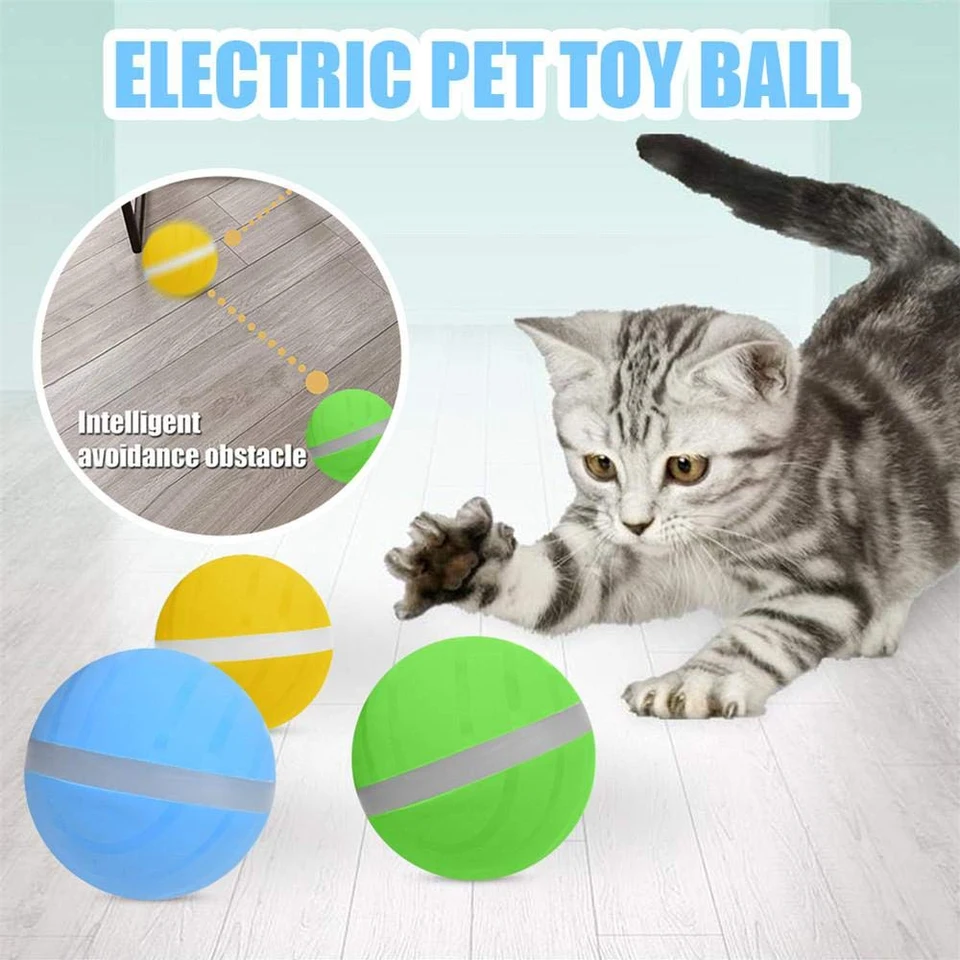 active ball for dogs
