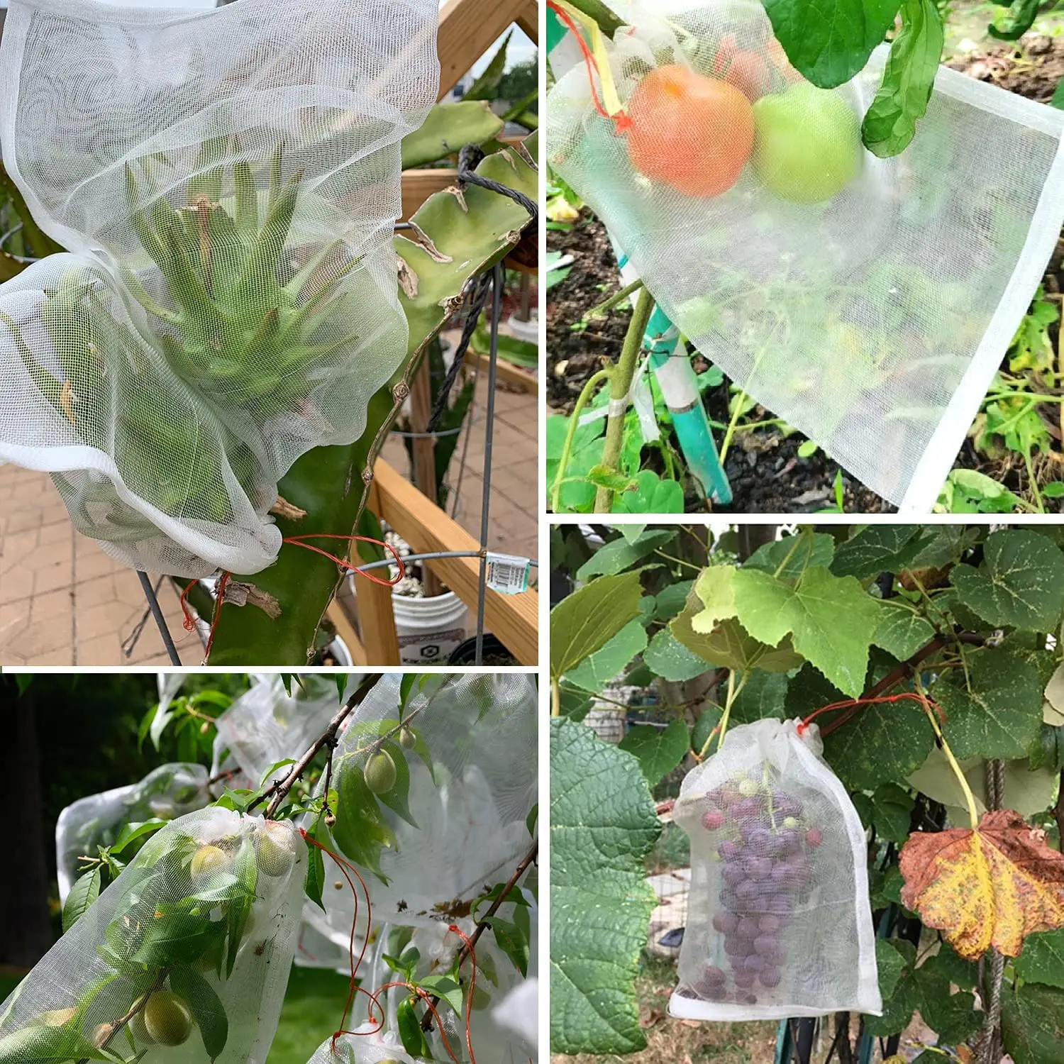 proteção sacos para tomates maçãs uvas crescer sacos