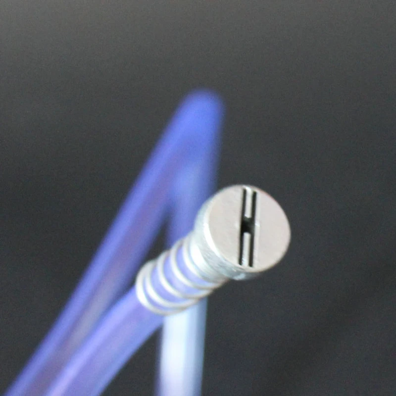 4131092625_702700830