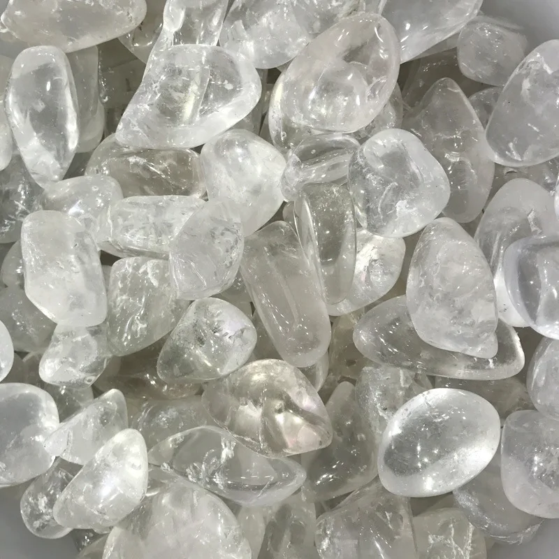 4560109678_1119757352