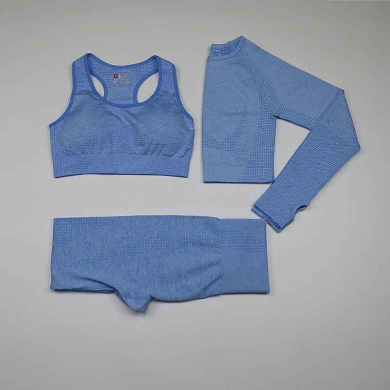 sky blue Женские спортивные костюмы из 3 предметов, бесшовный комплект для йоги, Топ с длинным рукавом для фитнеса+ леггинсы для спортзала+ мягкий спортивный бюстгальтер, одежда для тренировок, Femme - Цвет: sky blue