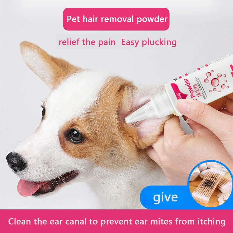 How To Pluck And Clean Dogs Ears At Home