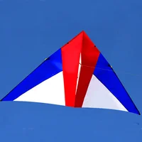 Outdoor Toy Delta LED Fabric Kite Wind Easy Control With Handle Line kites for Adults Children Sale String 2