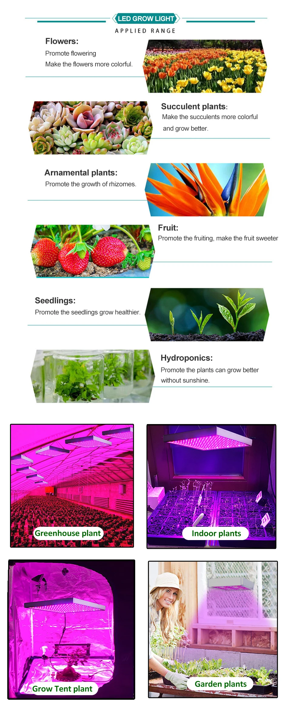 Phyto Lamp LED Grow Light 1000W Full Spectrum Fitolampy Lamp For Plants Indoor Plant Led Lights For Greenhouse Hydroponic Growth (5)