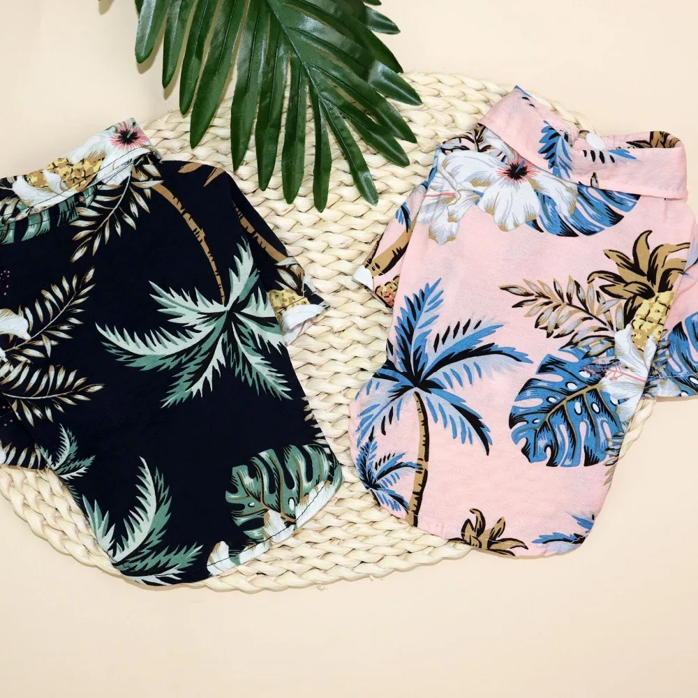 IMG_8348(20200420-205550)