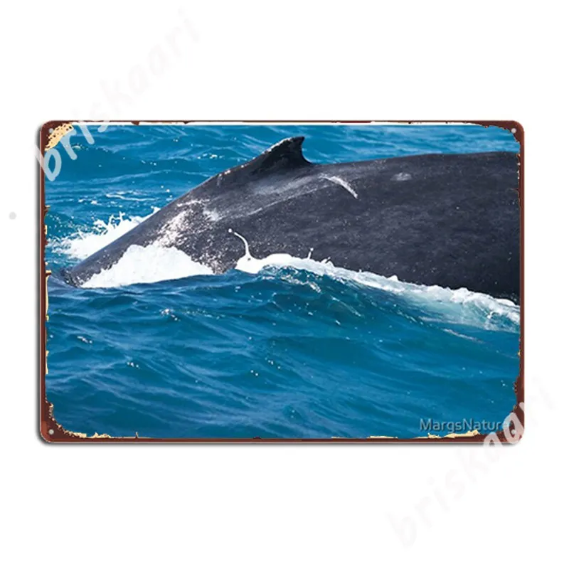 

Close Encounter Metal Signs Wall Plaque Decoration Cinema Kitchen Kitchen Tin sign Posters