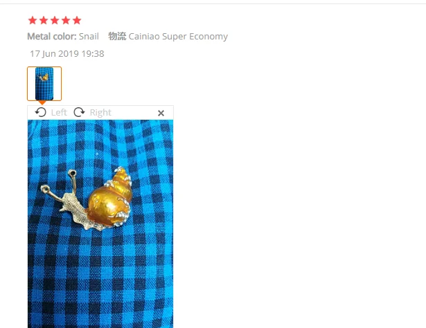 Животное, пчела, божья коровка, муравьи, птица, улитка, броши ...