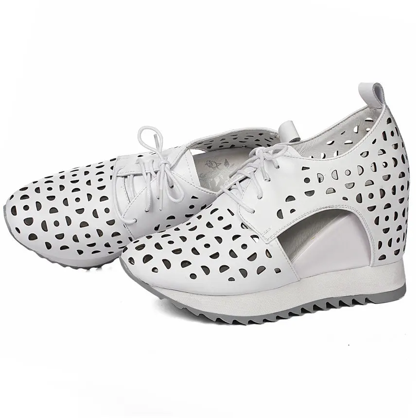 IMG_5537_副本_副本