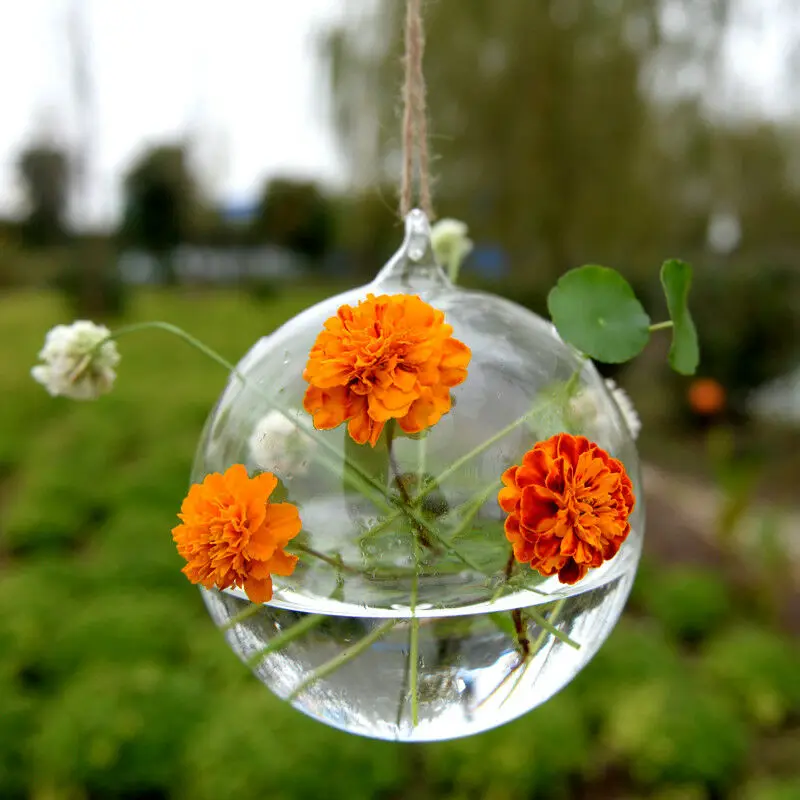 Террариум шар в форме шара прозрачная висячая ваза стеклянная для цветов Растения контейнер орнамент микро пейзаж DIY свадебный домашний декор