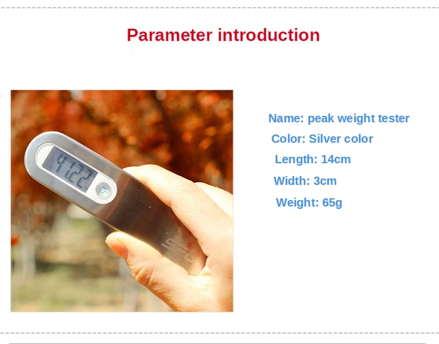 Balance Numérique Pour Arc - Mesure Poids De Tirage 110 Lb/50