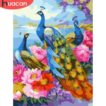 

HUACAN Oil Painting Colorful Peacock Drawing On Canvas HandPainted Pictures By Number Animal Kits Home Decoration DIY Gift Art