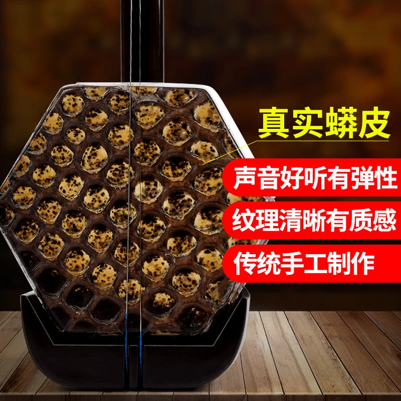WY-02B Mechanical shaft Erhu chinese instrument de cuerda er hu traditional music instrumentos de cuerdas with erhu bow string
