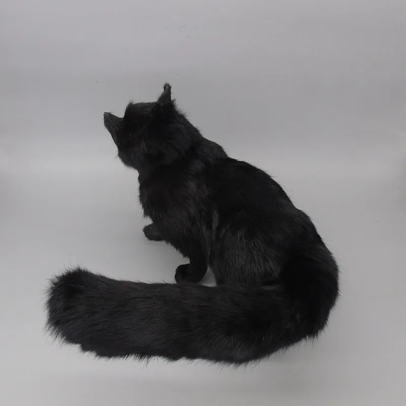 3621295328_167231638