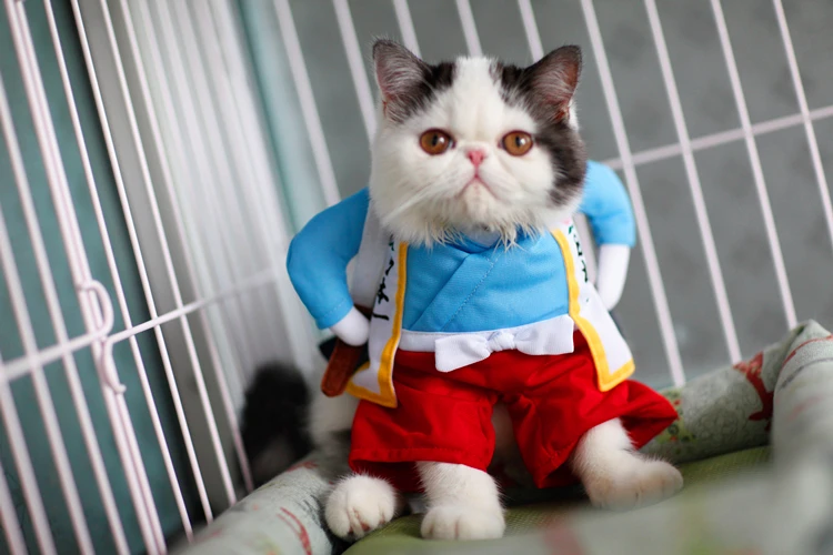 Hde05ea4c3a17436a950f425e378906350