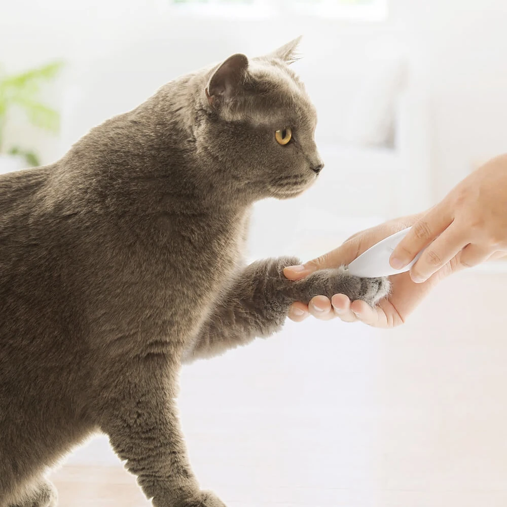 Электрическая бритва для домашних питомцев Pawbby электрическая машинка стрижки