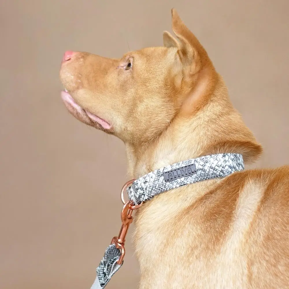 

ALLIVA retailing handmake high quality adjustable dog collars and leashes The Snake
