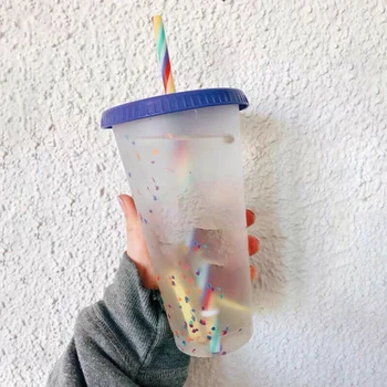 

5pcs Color Changing Confetti Reusable Plastic Tumbler with Lid and Straw Cold Cup Cold Water Color Changing Straw Cup