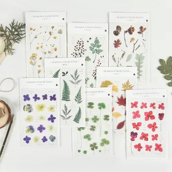 

8patterns plant flower PET sticker pine cone green leaf decorative stickers notebook planner decoration DIY hobby craft