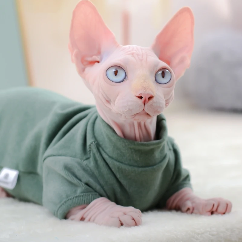 Cat Sweater and Hat Set Sphynx Cat Jumpsuit Hairless Cat 