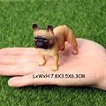 Bulldog A