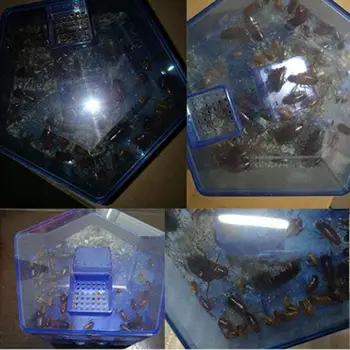 

3pcs Bait With Cockroach Trap Safe Efficient Anti Cockroaches Killer Bait Box Repeller Home Kitchen Cockroach Contains Dropshipp