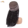 Lace Wigs