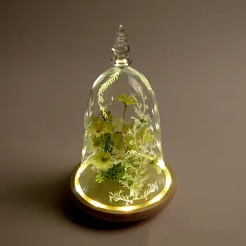 

10*15cm Small Size Luminous Higher Top Decal Painting Glass Dome Vase Home Decoration Glass Dome Gift Wedding Decoration