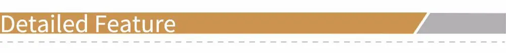 Detailed Feature.jpg
