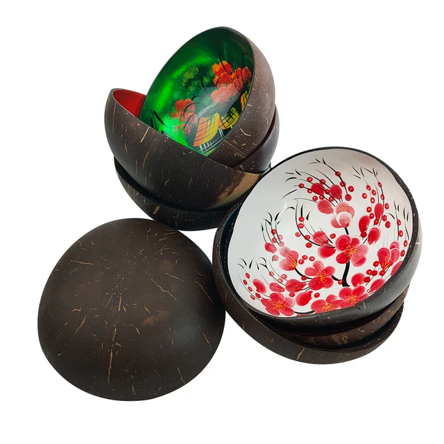 Hand Painted Coconut Bowls Shop The Veganary