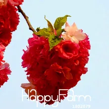 Большая распродажа! 10 шт./партия, красная японская вишня, растение во дворе, сад, бонсай, дерево Флорес, маленькие сакуры, растения, смешанные цвета