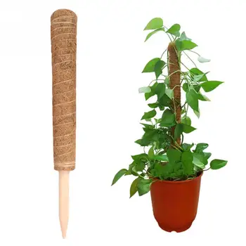 

Stake Household Plants Support Frame Climbing Grow Yard Totem Stick Creepers Indoor Extension Coir Moss Pole Home Garden Vine