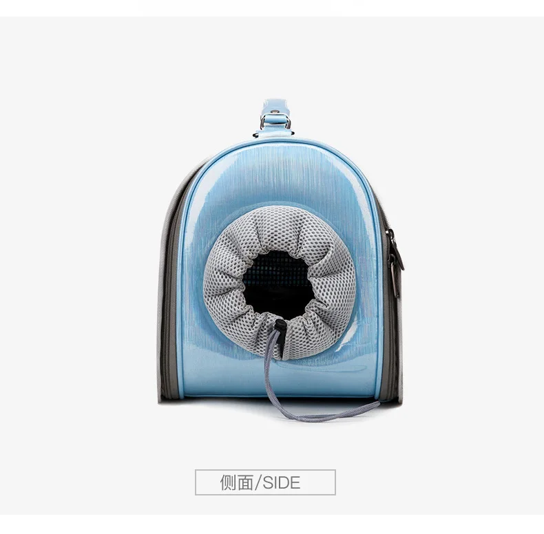 11538075245_299322169