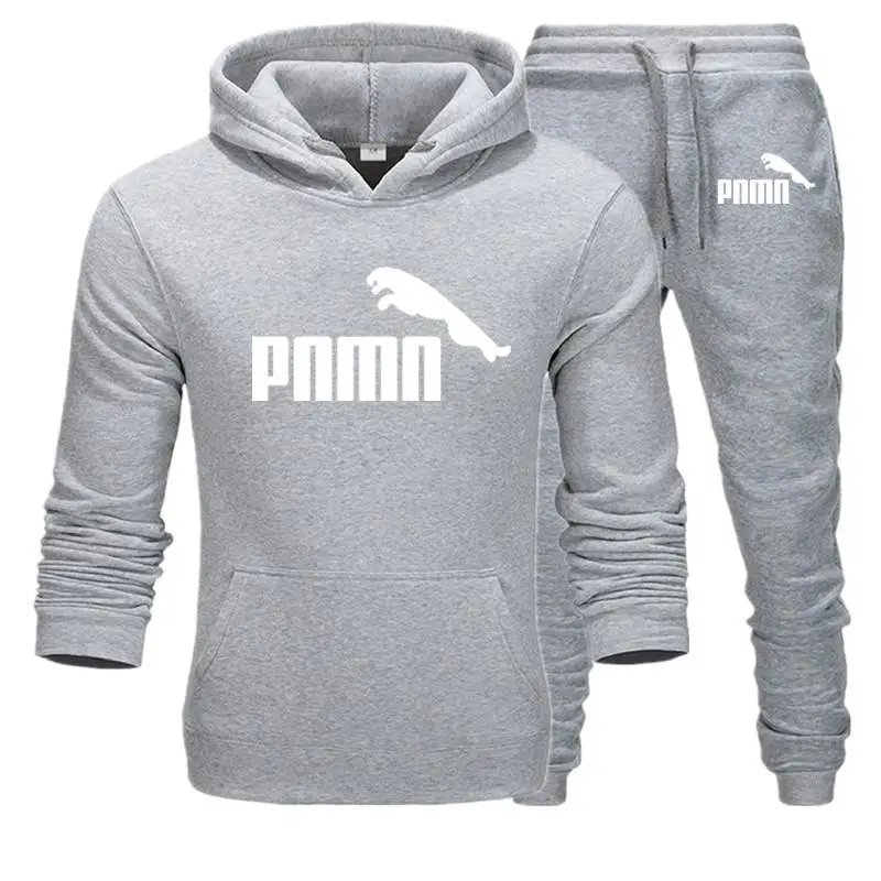 puma hooded sweat suit