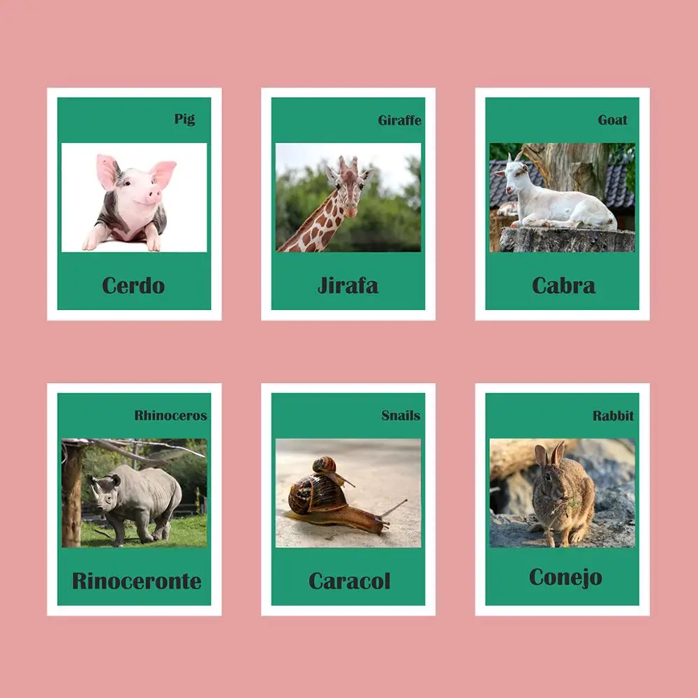 Spanish/english Animals Words Card Phonics Words Flashcards Learning  Educational Toys For Children Juguetes Educativos Kids Game - Card Books -  AliExpress