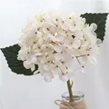 Autumn white C