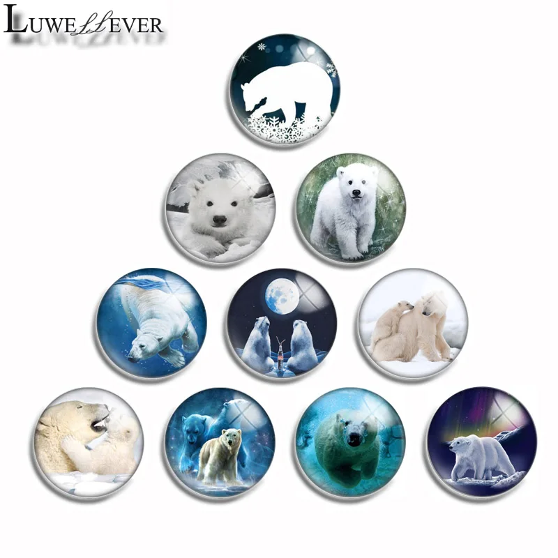 

10mm 12mm 16mm 20mm 25mm 30mm 489 Bear Mix Round Glass Cabochon Jewelry Finding 18mm Snap Button Charm Bracelet
