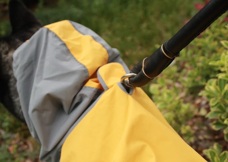 8732373045_1172365047